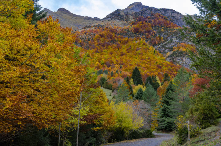 Huesca - valle de Bujaruelo 40.jpg